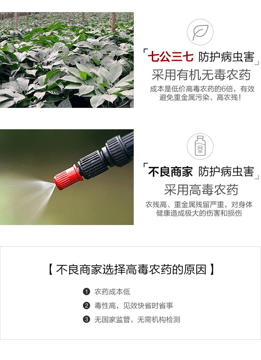 七公精选特级云南文山三七（手工挑选）