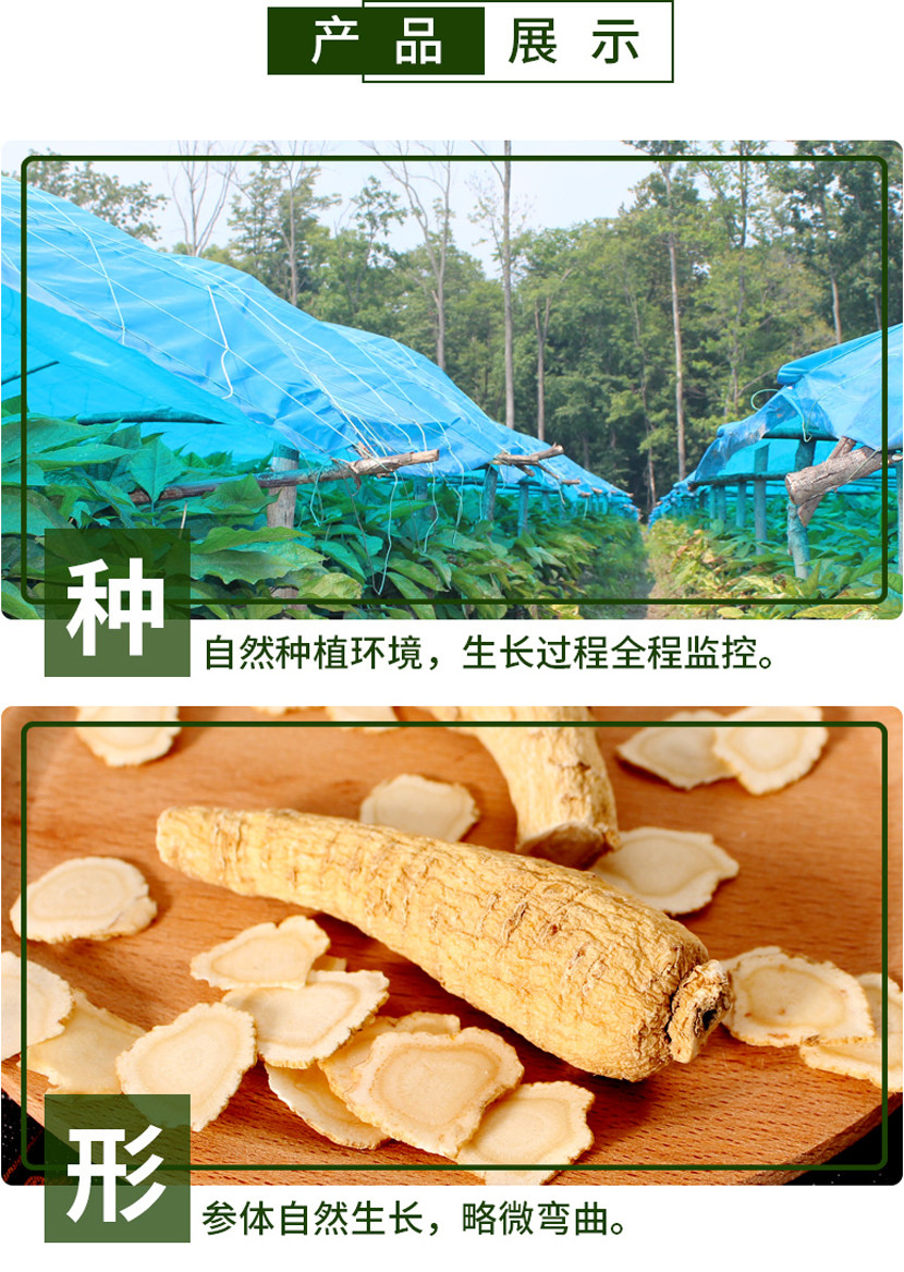 精选东北长白山优质西洋参（手工挑选）