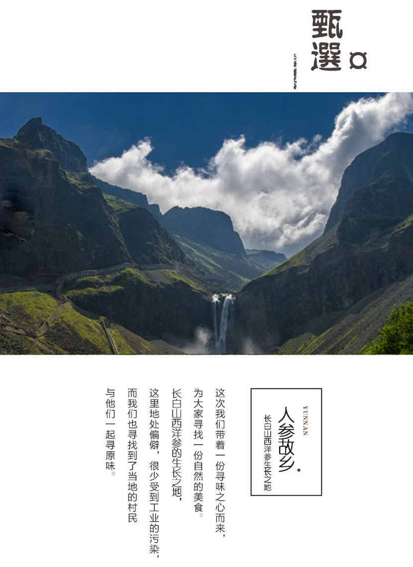 精选东北长白山优质西洋参（手工挑选）