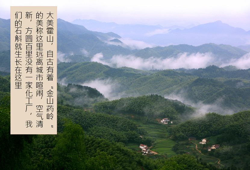 精选安徽霍山优质铁皮石斛（手工挑选）