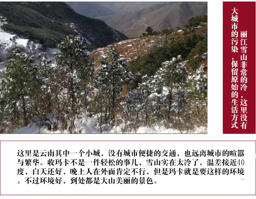 精选云南丽江优质黑玛卡（手工精选）