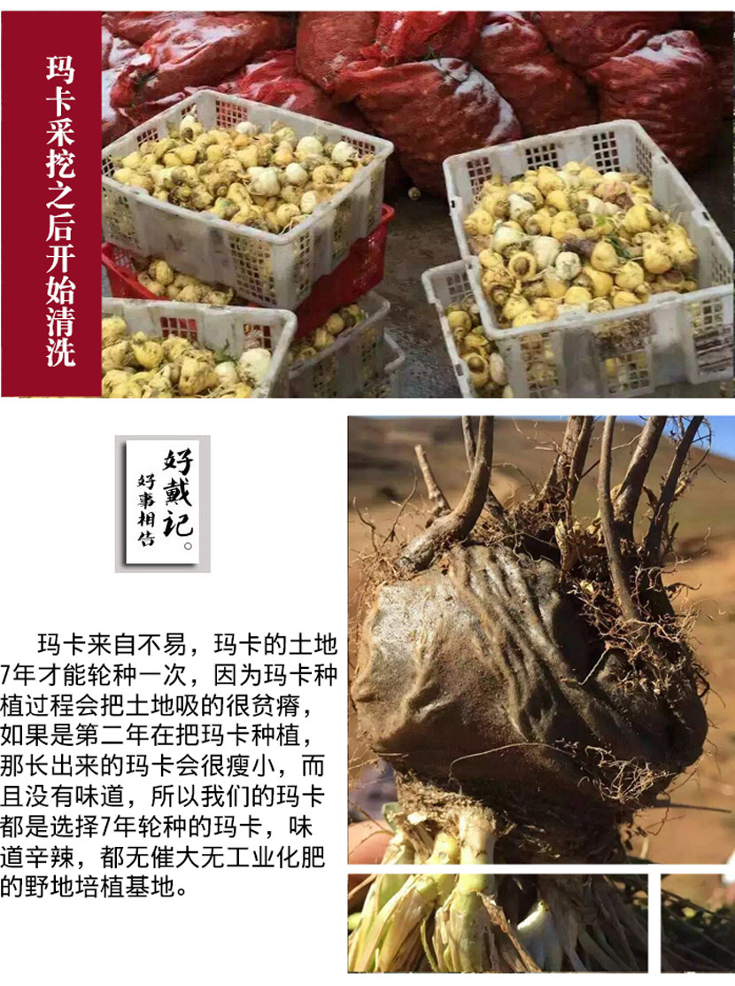 精选云南丽江优质黑玛卡（手工精选）