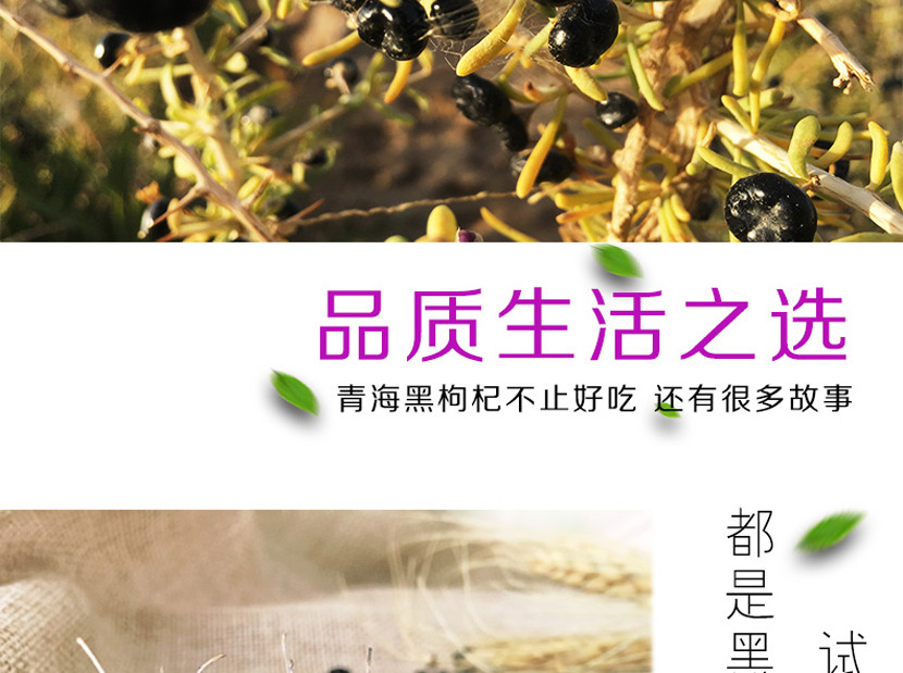 正宗青海柴达木盆地优质野生黑枸杞