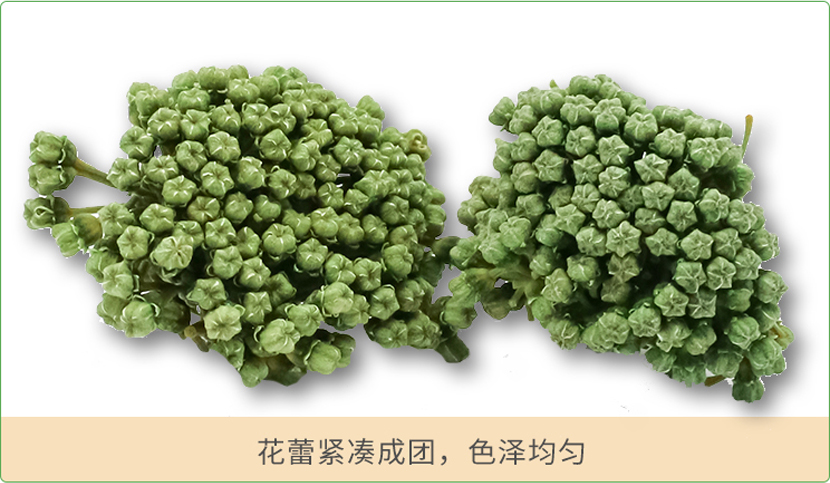 七公精选云南文山三七花（优质新鲜）