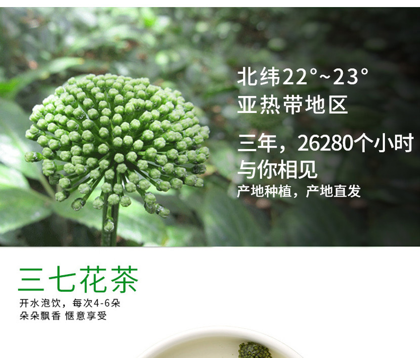 七公精选云南文山三七花（优质新鲜）