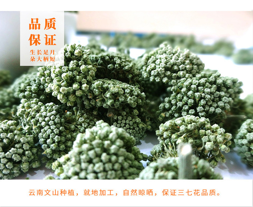 七公精选云南文山三七花（优质新鲜）