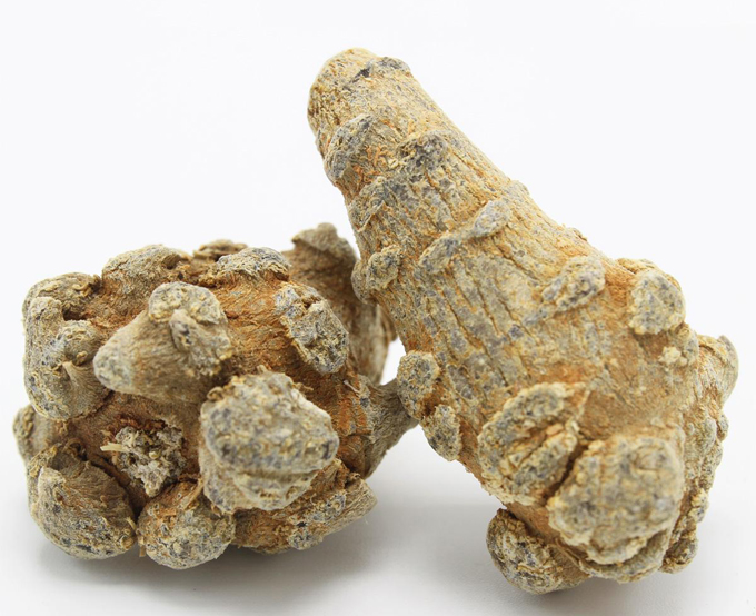 三七养生之：使用文山三七的常见误区