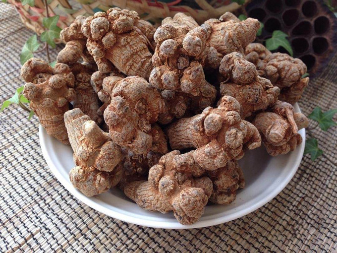 三七养生之：使用文山三七的常见误区