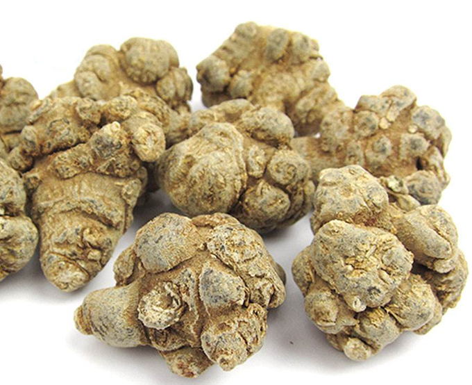 三七养生之：使用文山三七的常见误区