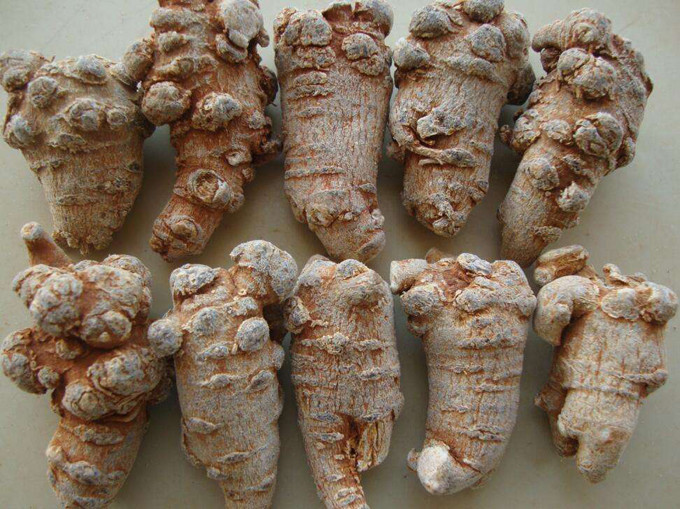 三七养生之：三七的食用方法与禁忌(含药方)