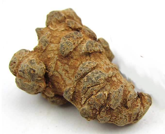 三七养生之：三七的食用方法与禁忌(含药方)