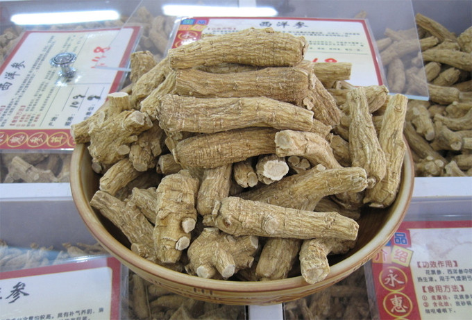 西洋参养生之:西洋参的五大功效与八大作用 西洋参养生之:西洋参的五大功效与八大作用