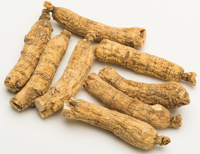 七公三七堂聊人参之：西洋参与人参使用上有什么区别