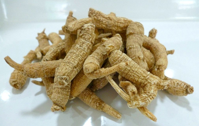 七公三七堂聊人参之：西洋参与人参使用上有什么区别