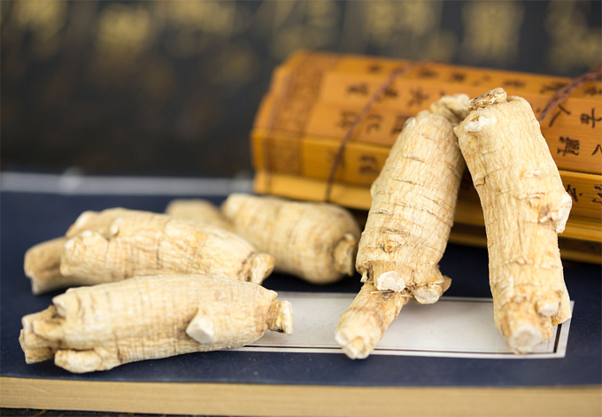 七公三七堂聊人参之：西洋参与人参使用上有什么区别