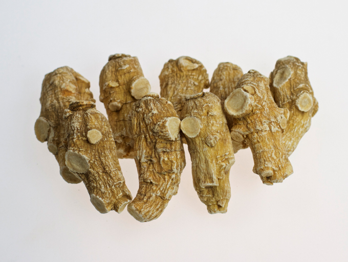 七公三七堂聊人参之：西洋参与人参使用上有什么区别