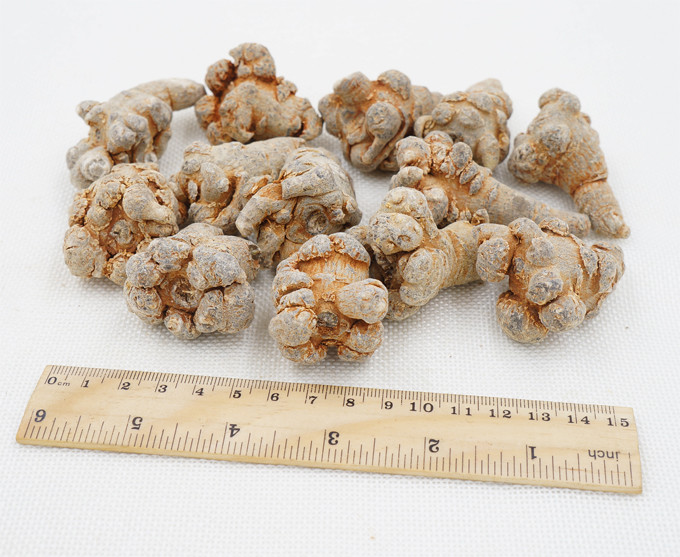 文山三七 文山三七