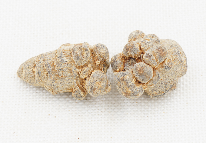 文山三七 文山三七