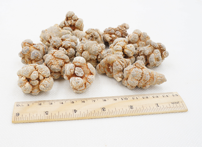 文山三七 文山三七