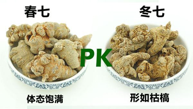 春三七与冬三七的区别