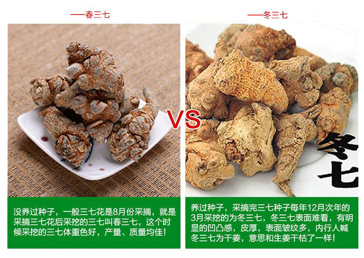 春三七与冬三七的区别