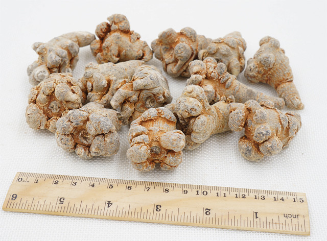 25头不带剪口春三七