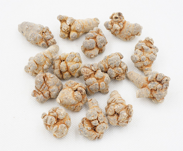 30头带剪口春三七