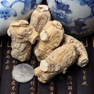 西洋参养生之:西洋参的五大功效与八大作用